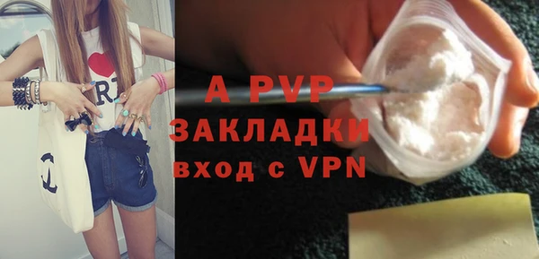 стаф Балахна