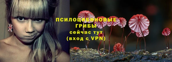 стаф Балахна